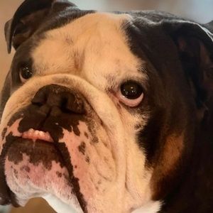 Meet your Posher, Victoria